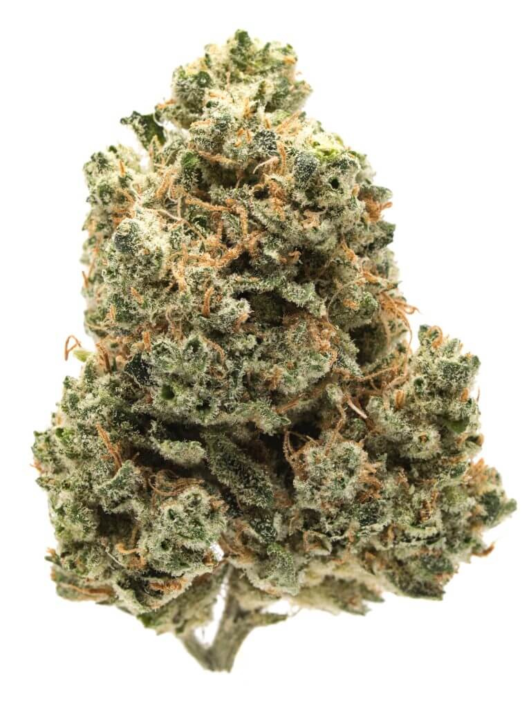 5 WEEDS STRAINS TO HAVE WITH CARD GAMES 5 WEEDS STRAINS TO HAVE WITH CARD GAMES