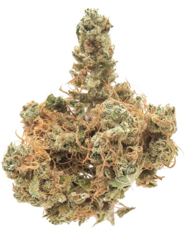 8 of the best cannabis strains for creativity 8 of the best cannabis strains for creativity