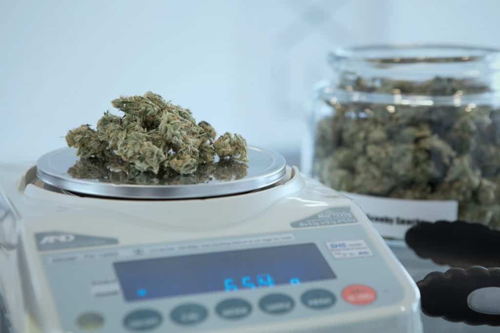 Digital Scales