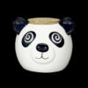 Roast & Toast Panda Bundle Roast & Toast Panda Bundle